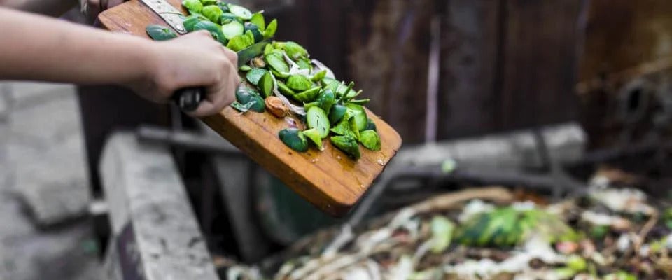 Green food scraps being scraped off cutting board into compost bin