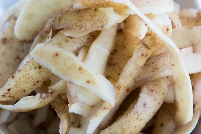 Collection of potato skin peelings ready for composting