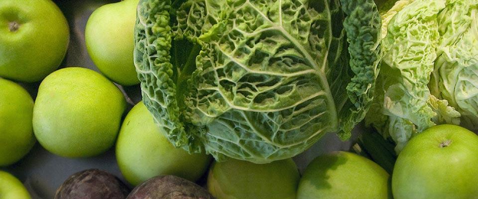 nutrition health and wellness content highlight