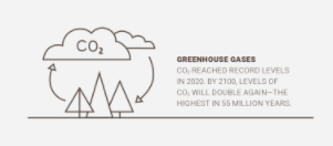 GREENHOUSE GASES