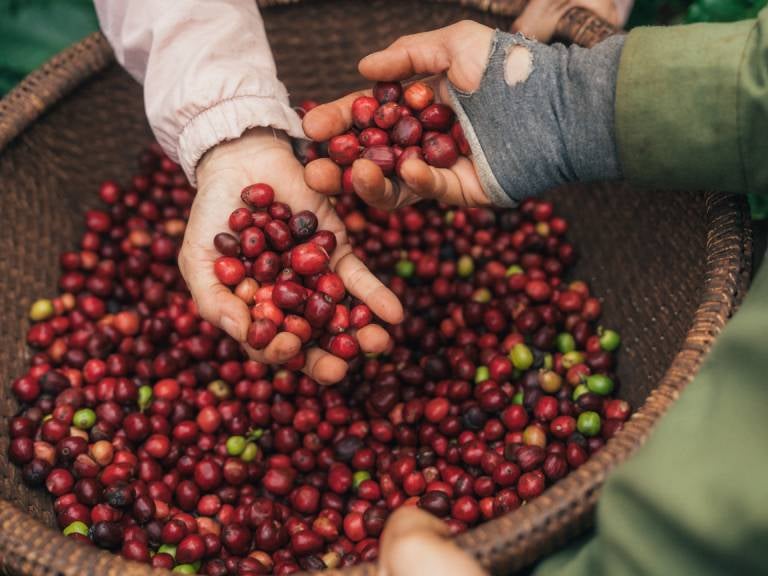 Enjoy and save with bulk instant coffee