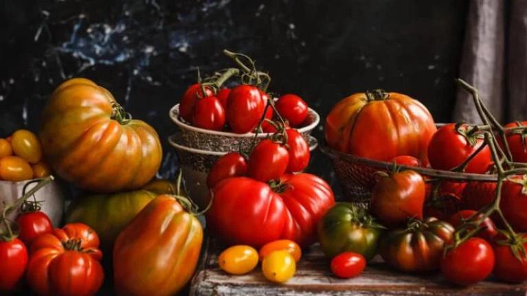 Heirloom variety tomatoes on dark rustic table