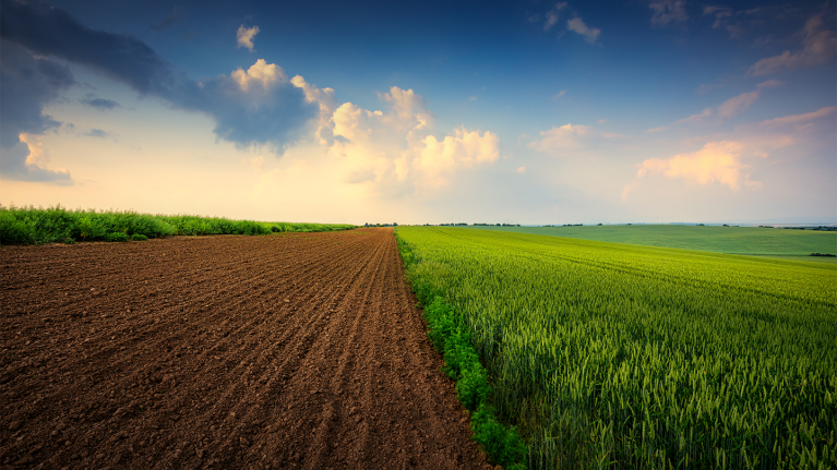 Sustainability Planetpro Banner