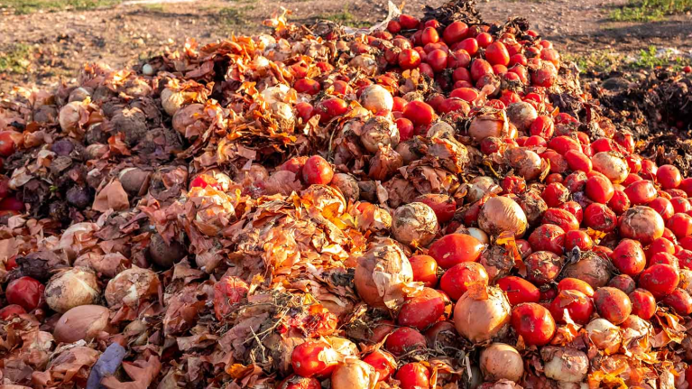 Food Waste Landfill