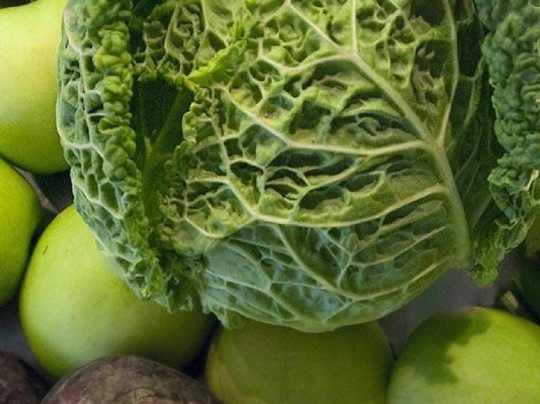 nutrition health and wellness content highlight