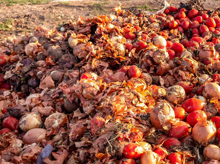 Food Waste Landfill