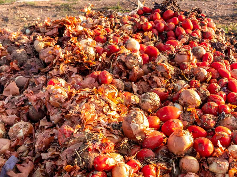 Food Waste Landfill
