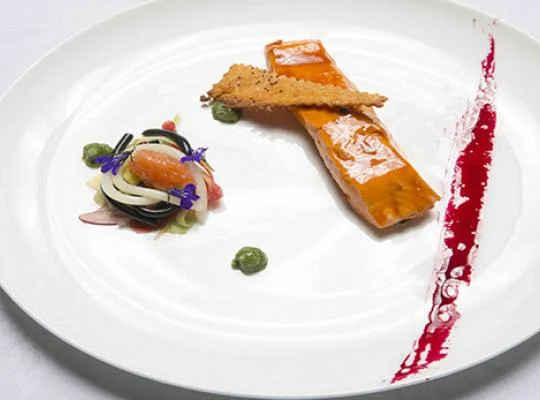 salmon lr