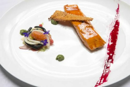 salmon lr
