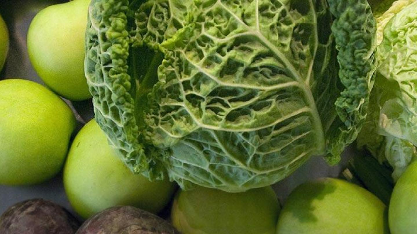 nutrition health and wellness content highlight