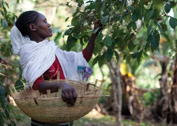 Supporting farmers and the planet