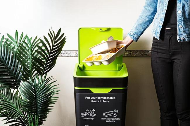 Dumping waste