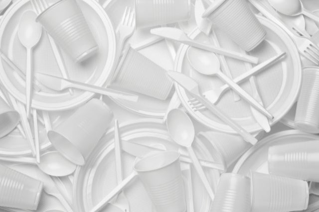 Sustainability in focus
